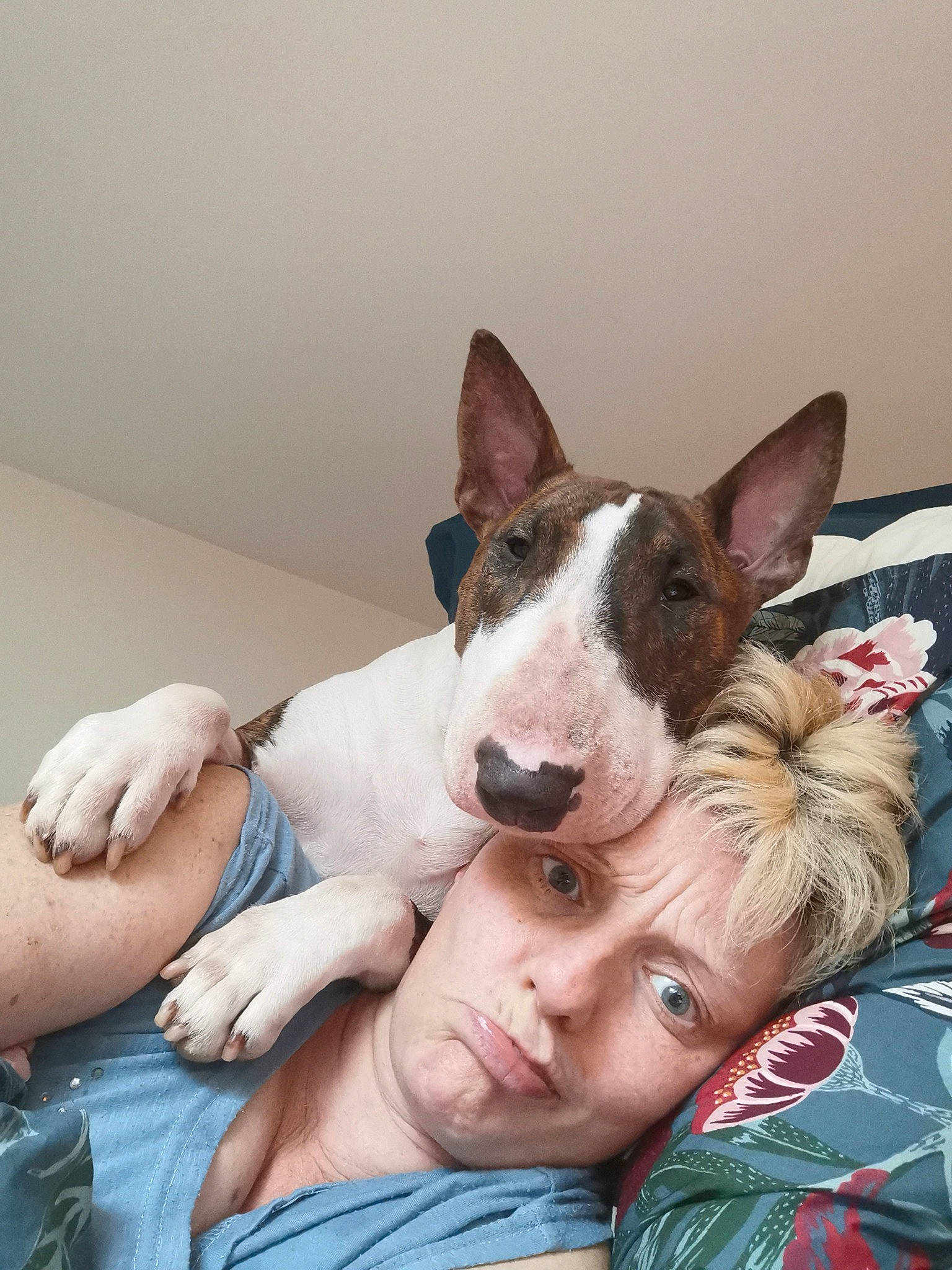 Sumo a rejoint le concours — aidez-le/la à gagner de superbes lots ! bull_and_terrier, bull_terrier, bull_terrier_miniature, canidae, carnivore, companion_dog, dog, dog_breed, ear, fawn, mammal, non_sporting_group, old_english_terrier, snout, terrier, vertebrate