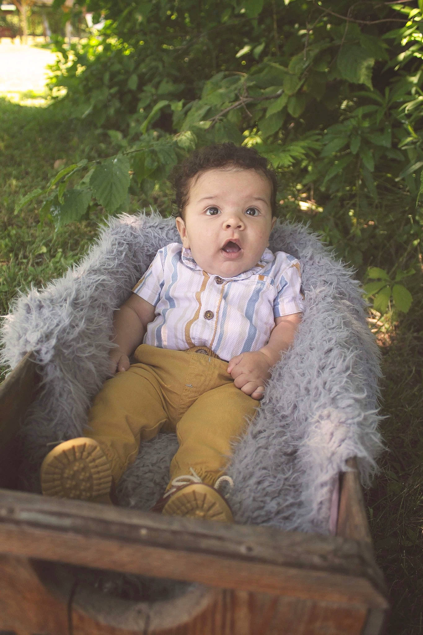 Luka is registered to the contest to win money with this photo: baby, botany, eye, fun, grass, grass_family, hairstyle, happy, head, leaf, mammal, people_in_nature, person, plant, skin, sunlight, surprise, toddler, tree, vertebrate