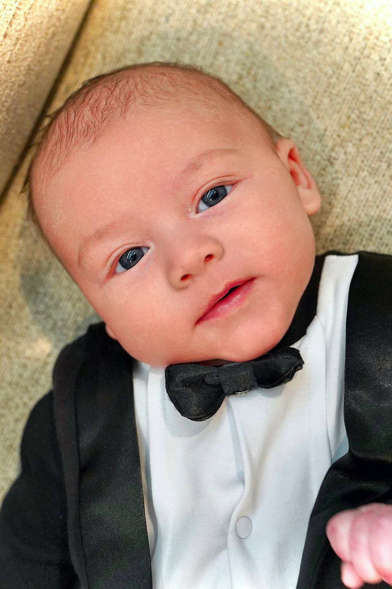 Geralt joined the competition — help win amazing prizes! baby, baby_toddler_clothing, bow_tie, cheek, child, collar, dress_shirt, eye, eyelash, head, lip, nose, person, pink, skin, sleeve, smile, suit, tie, toddler