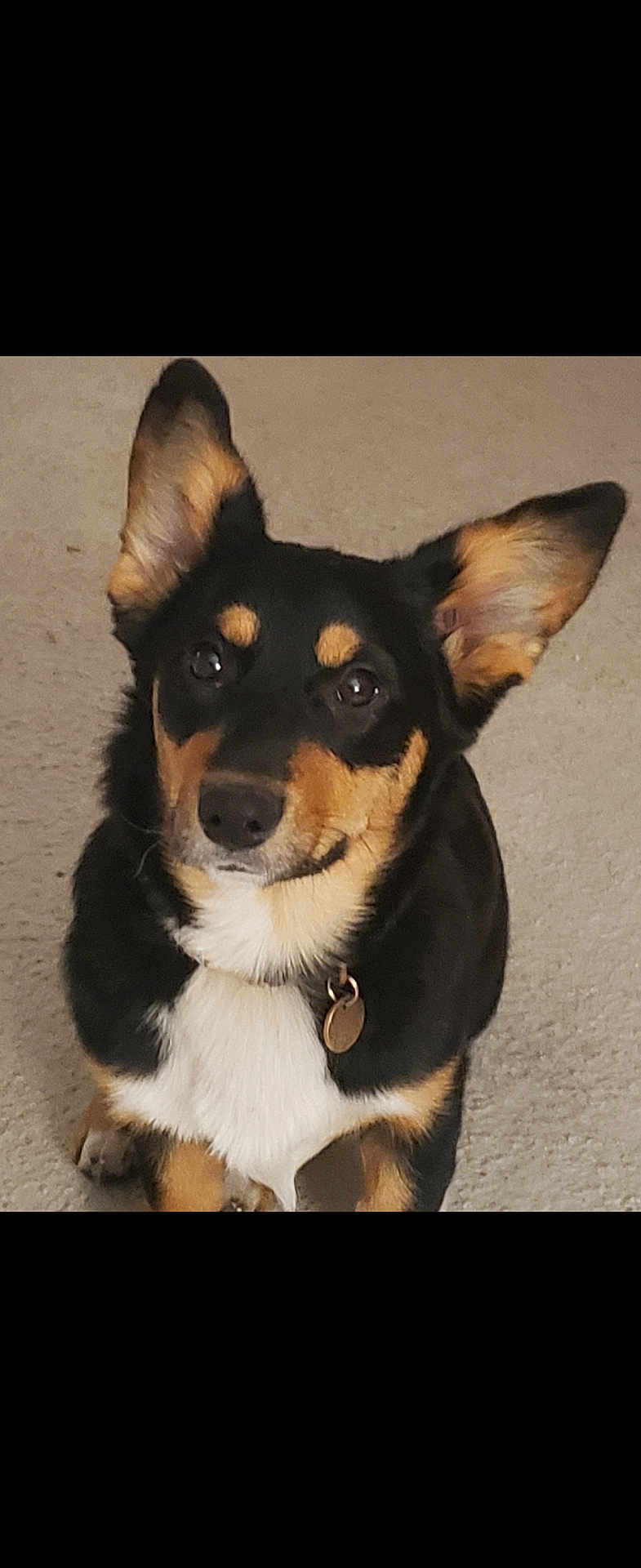 Baby Girl