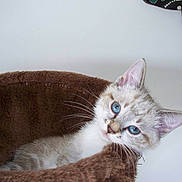 Lexie participe au concours pour gagner de l'argent avec cette photo :