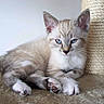 Lexie participe au concours pour gagner de l'argent avec cette photo :