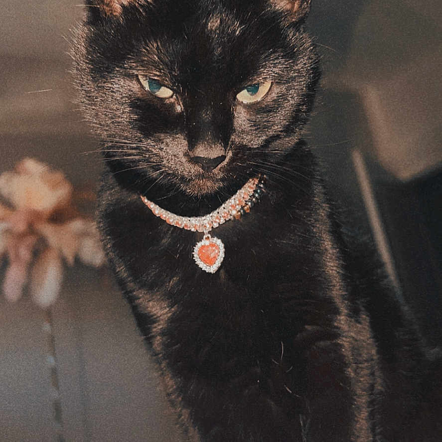 Zoëy