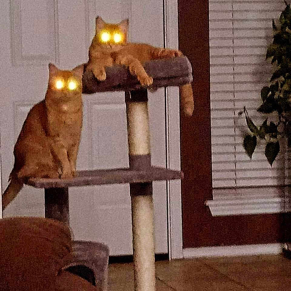 Tex And Charlie
