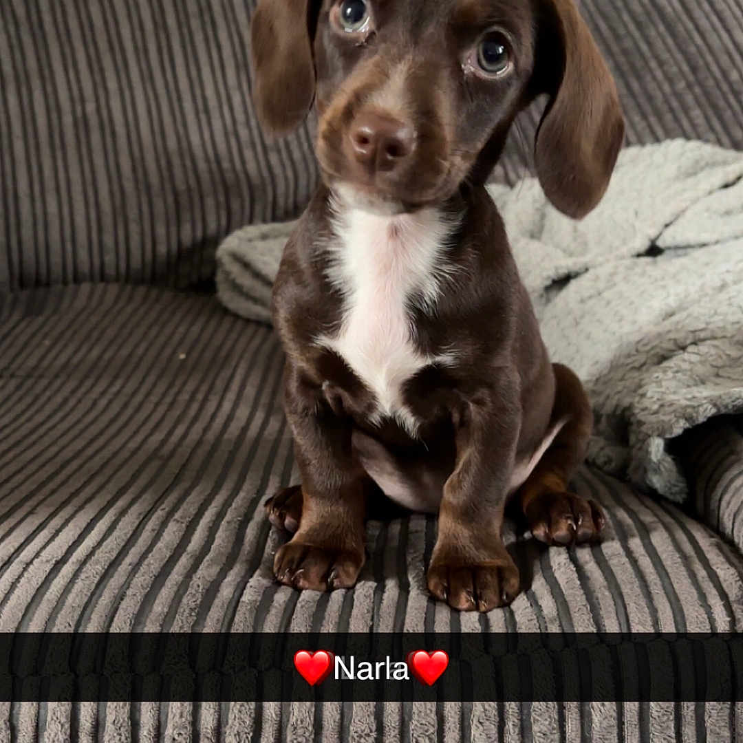 Narla