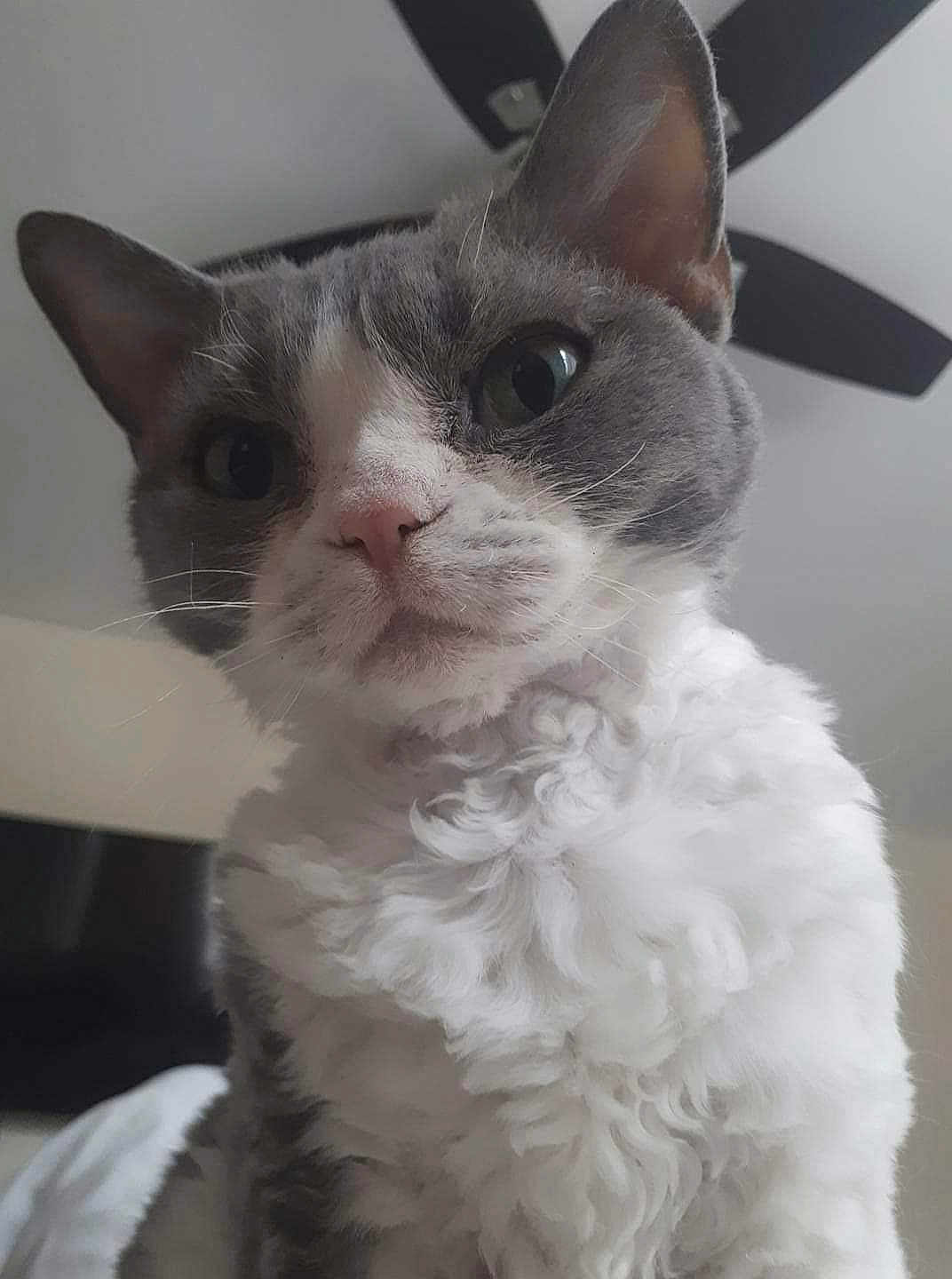 Lucy