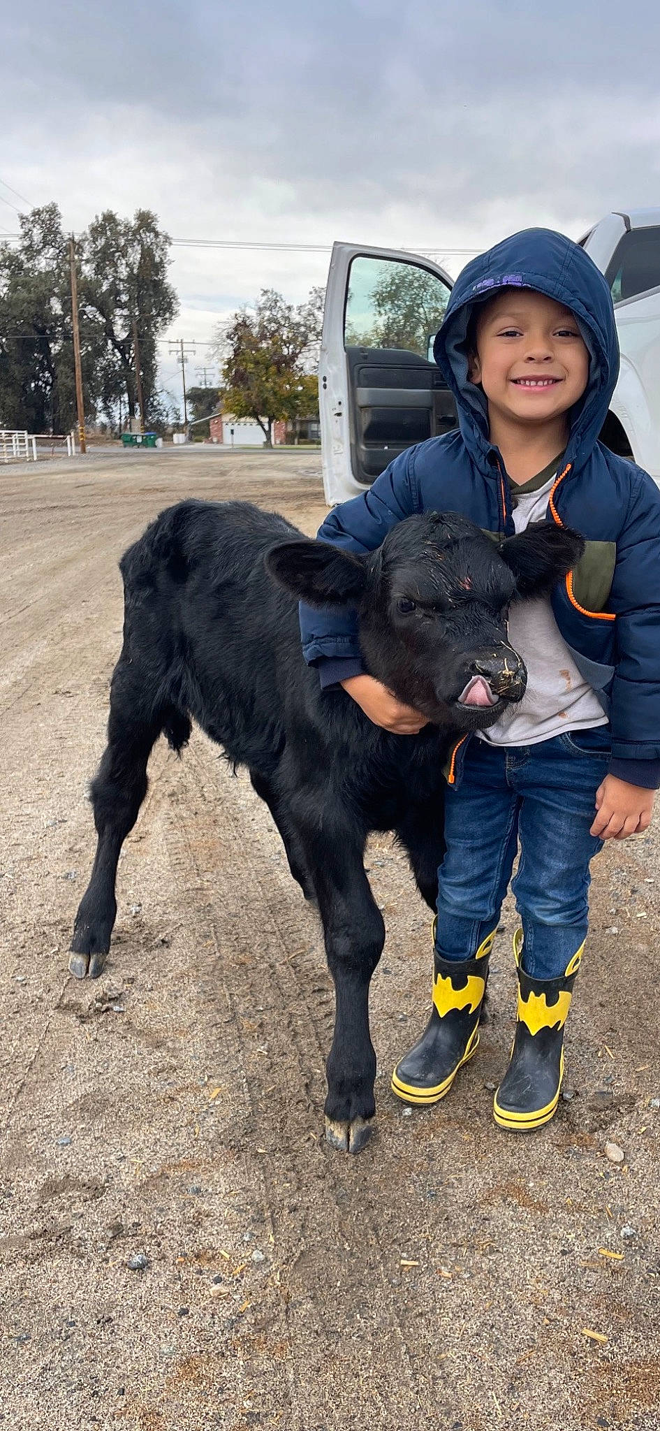 Jaziah joined the competition — help win amazing prizes! canidae, carnivore, companion_dog, dog, dog_breed, fun, fur, hat, headwear, hoodie, joy, landscape, livestock, person, plant, recreation, sky, smile, sporting_group, toddler