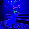 Cookie joined the competition — help win amazing prizes! dog, bench, neon_text, blue_light, indoor, pet, fluffy, cursive, glowing, wall, love_message, colorful, sitting, animal, cute, dark, decor, leash, cozy, affectionate