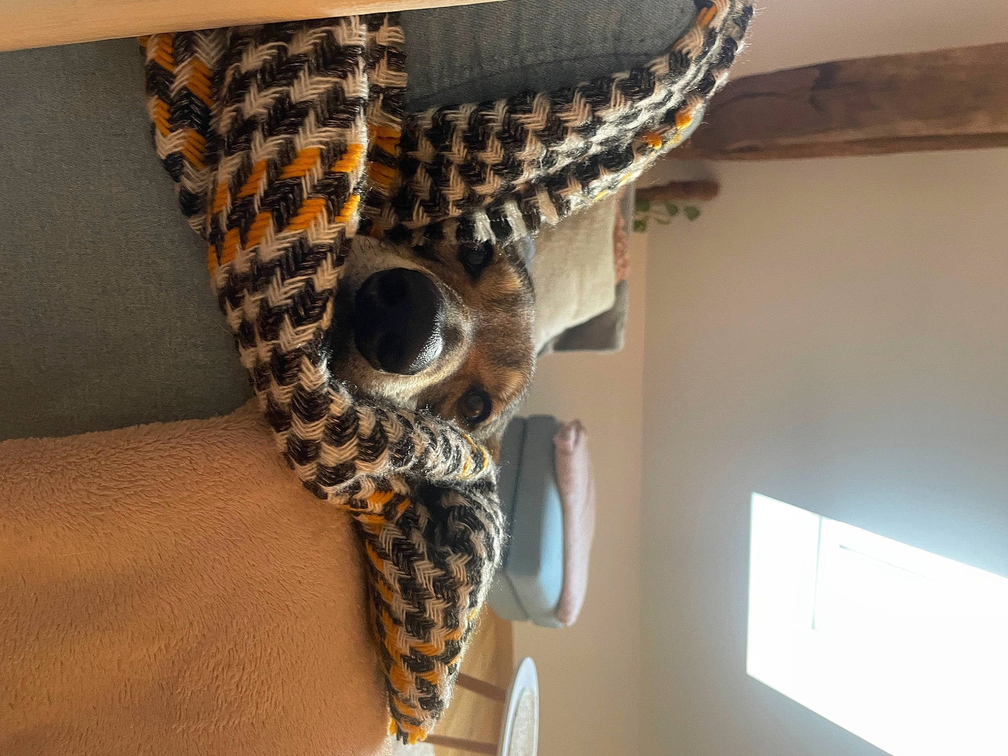 Taira participe au concours pour gagner de l'argent avec cette photo : armour, fashion_accessory, feather, felidae, fur, giraffe, jewellery, linens, metal, pattern, personal_protective_equipment, python, room, scaled_reptile, sleeve, terrestrial_animal, waist, window, wood, wool