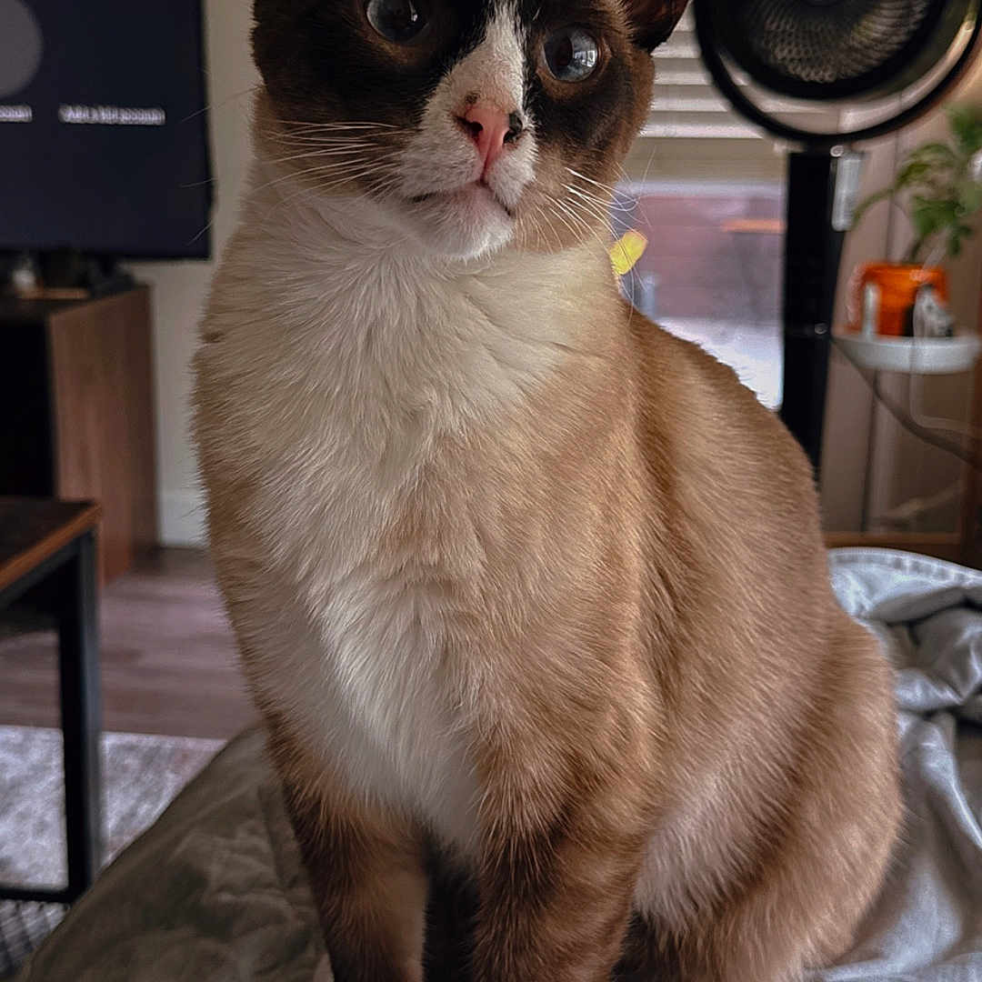Ozzy Aka Mr.bums