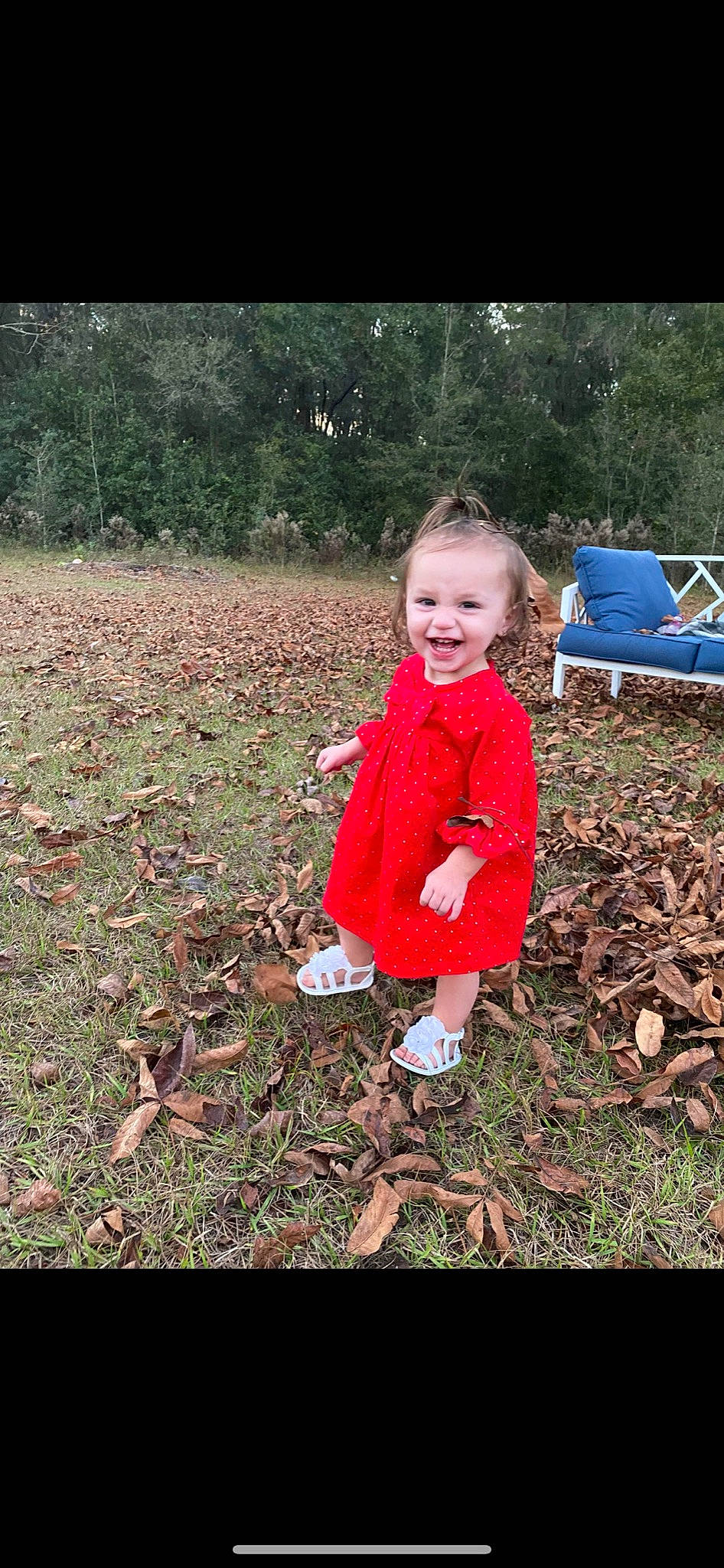Delilah is registered to the contest to win money with this photo: adaptation, baby_toddler_clothing, eye, flash_photography, fun, grass, happy, leaf, mammal, morning, natural_environment, nature, people_in_nature, person, plant, smile, tints_and_shades, toddler, tree, wood