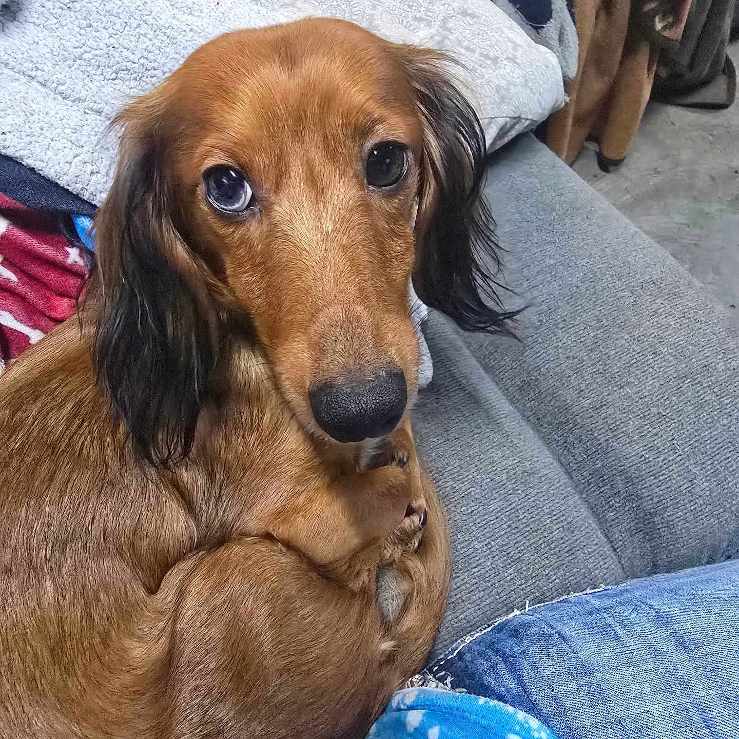 Chloe