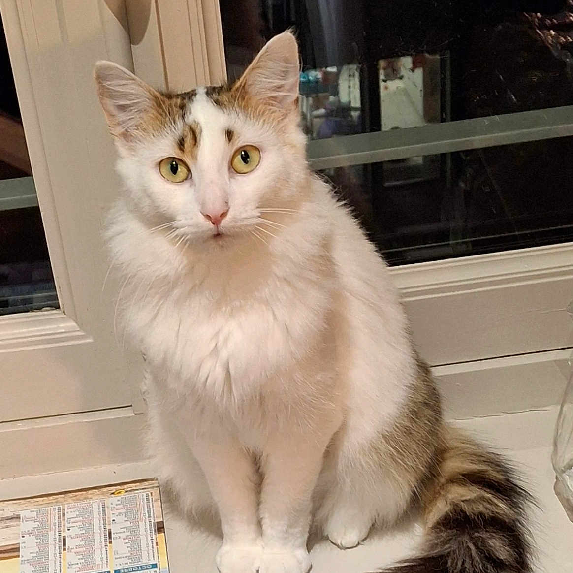 Mia