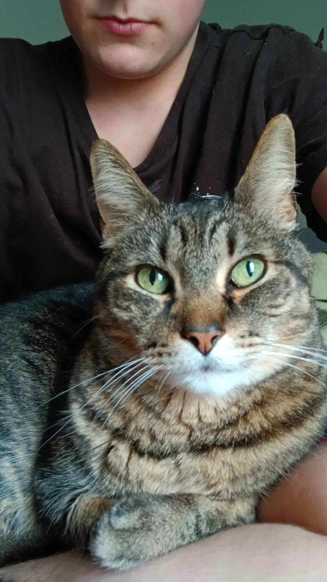 Gus