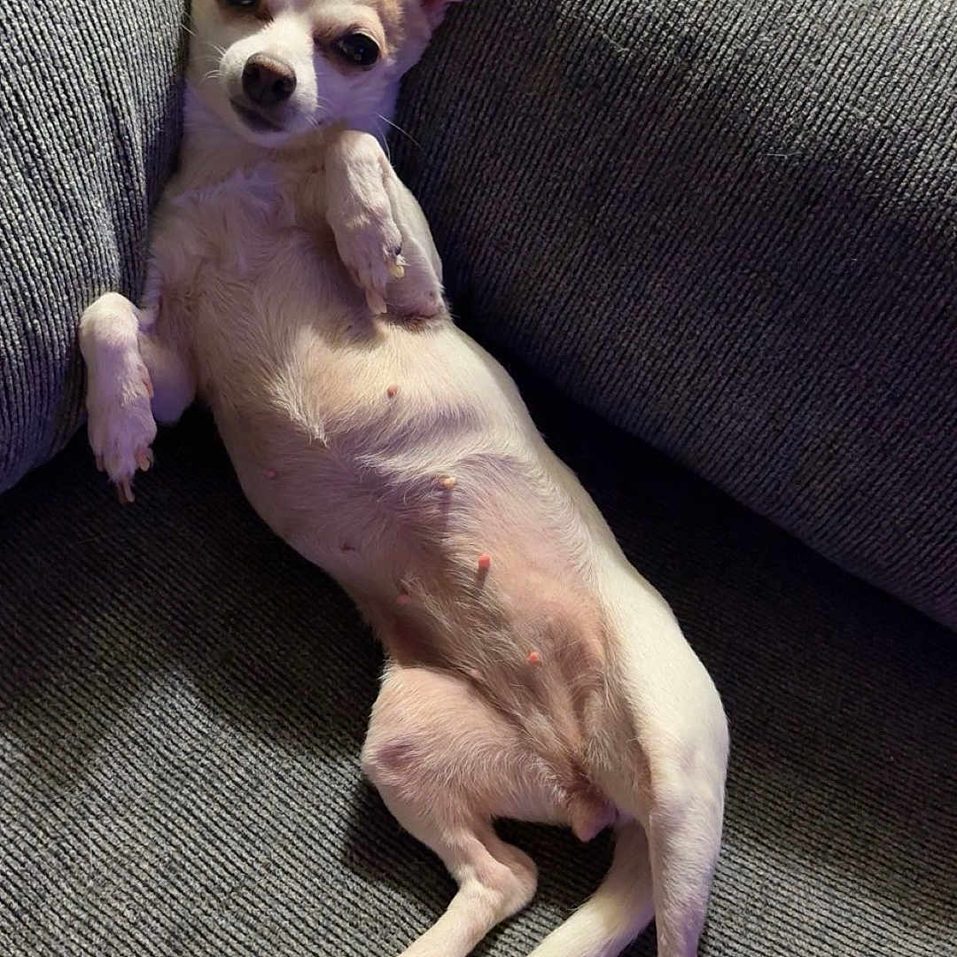 Elizabeth