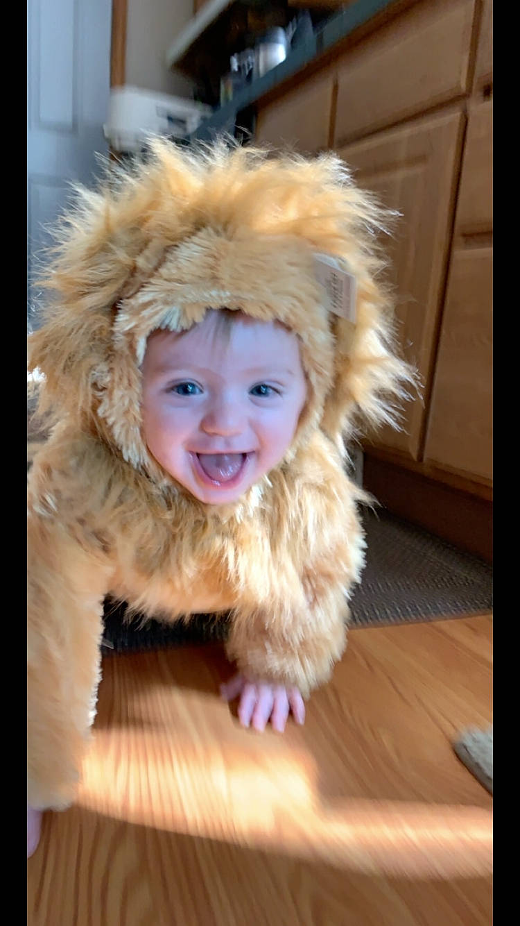 Triton joined the competition — help win amazing prizes! canidae, fawn, fur, joy, person