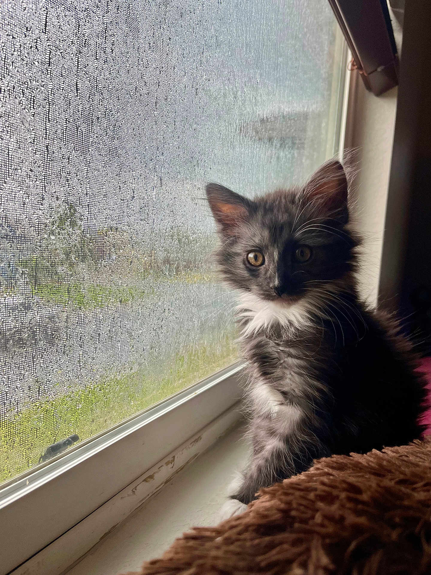 Salem