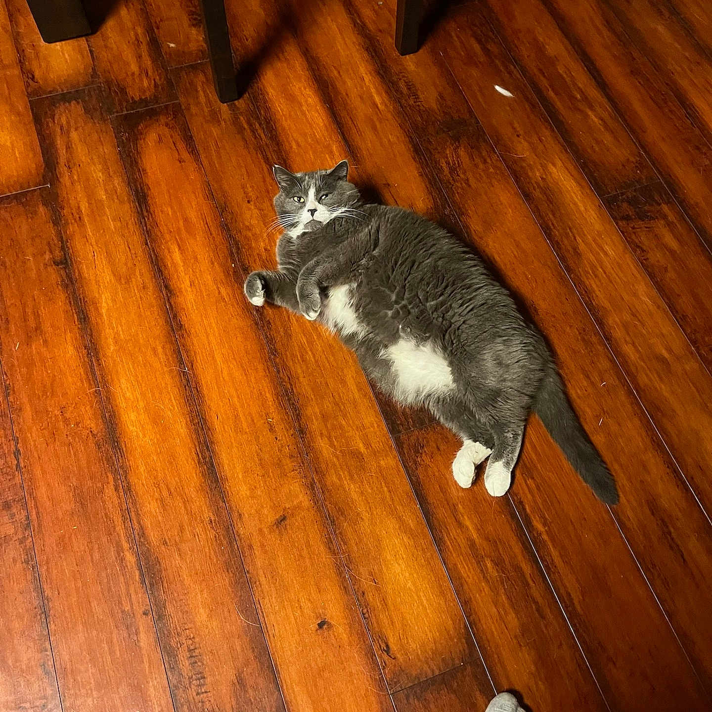 Lil Man