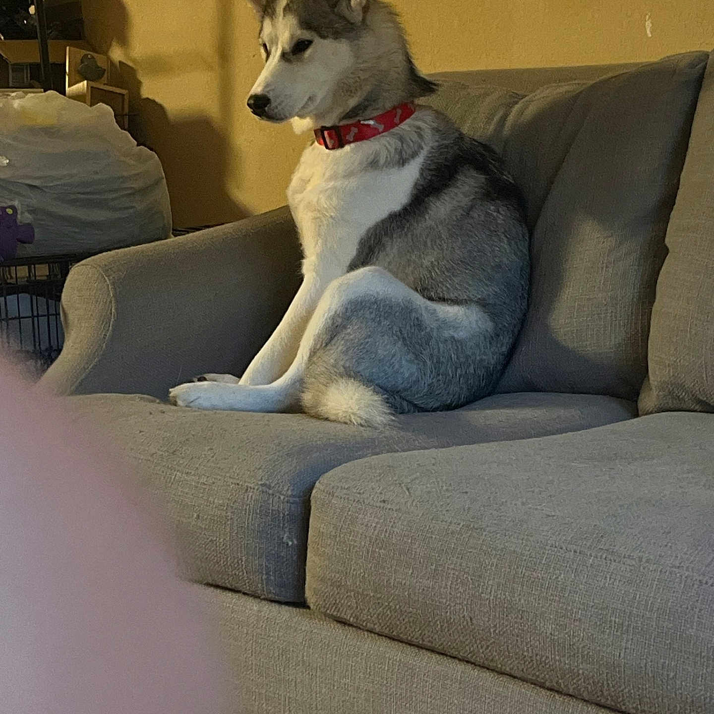 Kiki