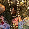 cat, christmas_tree, decorations, gold_beads, lights, presents, wrapping_paper, holiday, festive, greenery, ornament, shiny, animal, pet, curious, indoor, celebration, colorful, closeup, seasonal