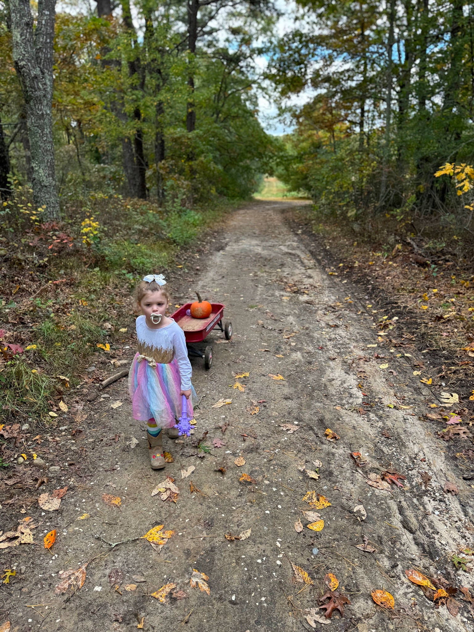 Madison is registered to the contest to win money with this photo: asphalt, deciduous, forest, grass, landscape, natural_landscape, people_in_nature, person, plant, recreation, road, road_surface, rock, sidewalk, soil, thoroughfare, trail, tree, wood, woodland
