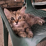 Zoé a rejoint le concours — aidez-le/la à gagner de superbes lots !