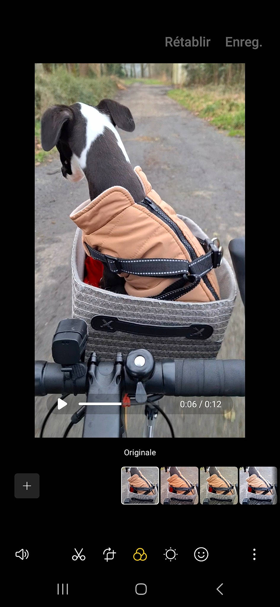 Ulysse participe au concours pour gagner de l'argent avec cette photo : auto_part, automotive_design, baby_carriage, baby_products, bag, carnivore, collar, comfort, companion_dog, dog, dog_breed, dog_supply, font, personal_protective_equipment, pet_supply, photograph, screenshot, sitting, travel, working_animal