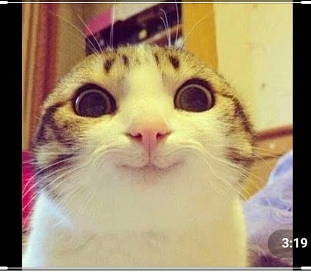 Doazjzbanlalekekenen