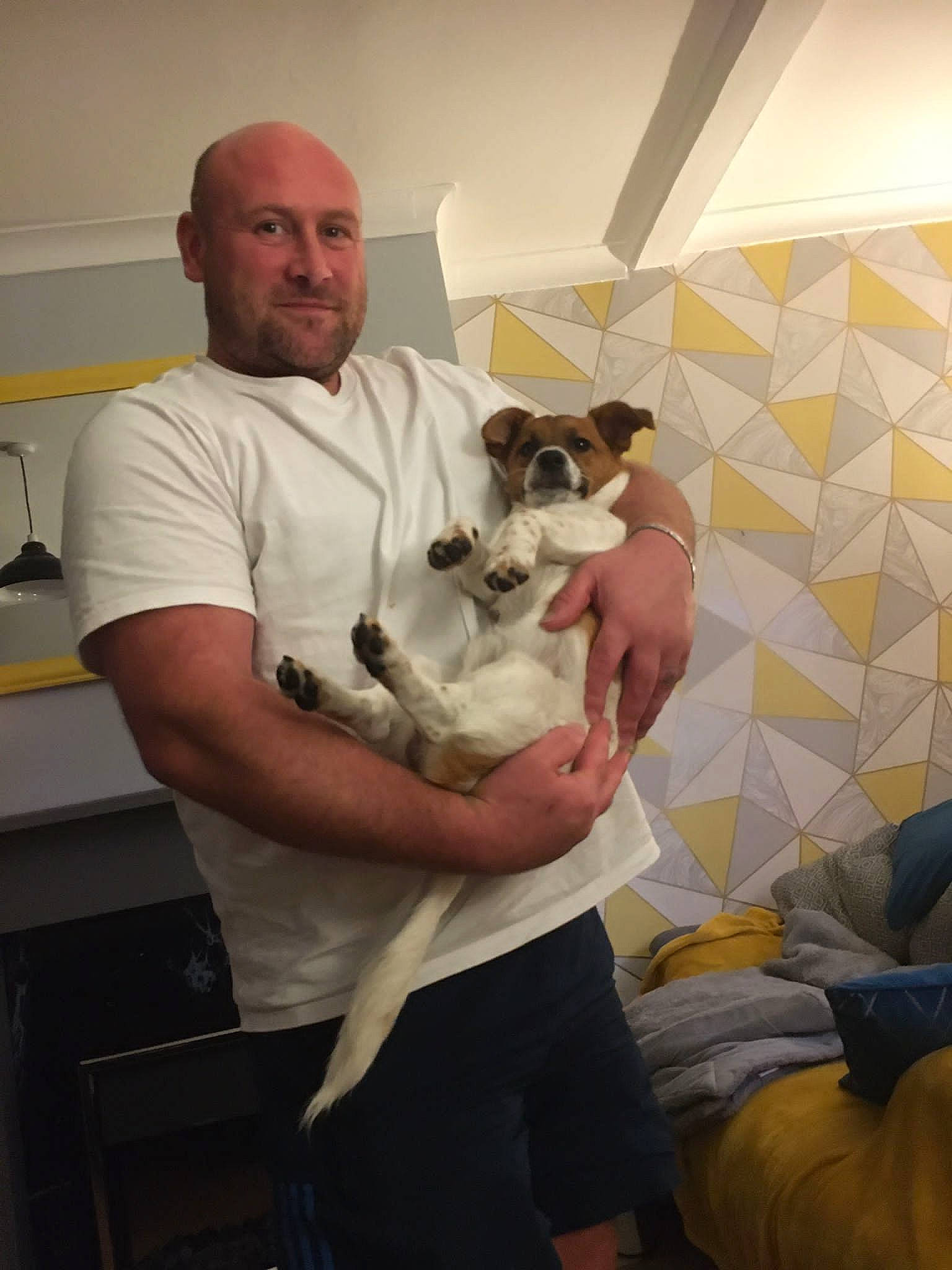 Lennie joined the competition — help win amazing prizes! bulldog, canidae, carnivore, chair, comfort, companion_dog, dog, dog_breed, event, fawn, non_sporting_group, shorts, shoulder, sitting, smile, sporting_group, t_shirt, thigh, toy_dog, working_animal