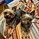 Winston And Paisley