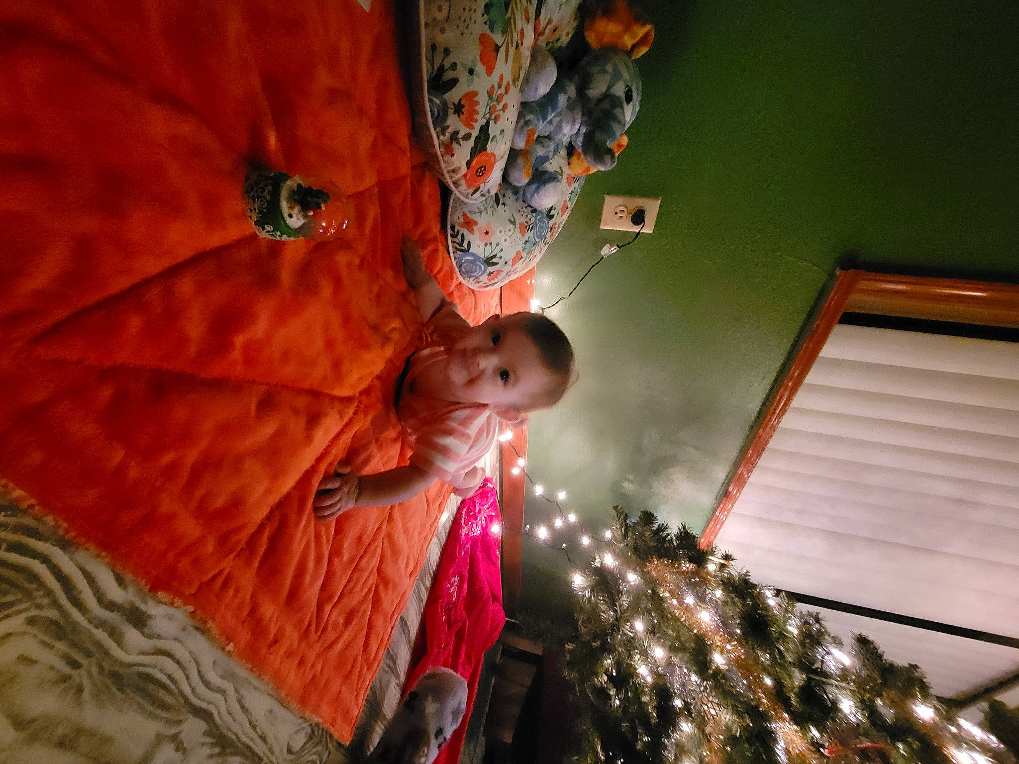 Mavis is registered to the contest to win money with this photo: adaptation, christmas, christmas_decoration, christmas_lights, christmas_tree, fir, holiday, joy, orange, ornament, peach, person, pine, temple, tradition, umbrella, window_covering, world