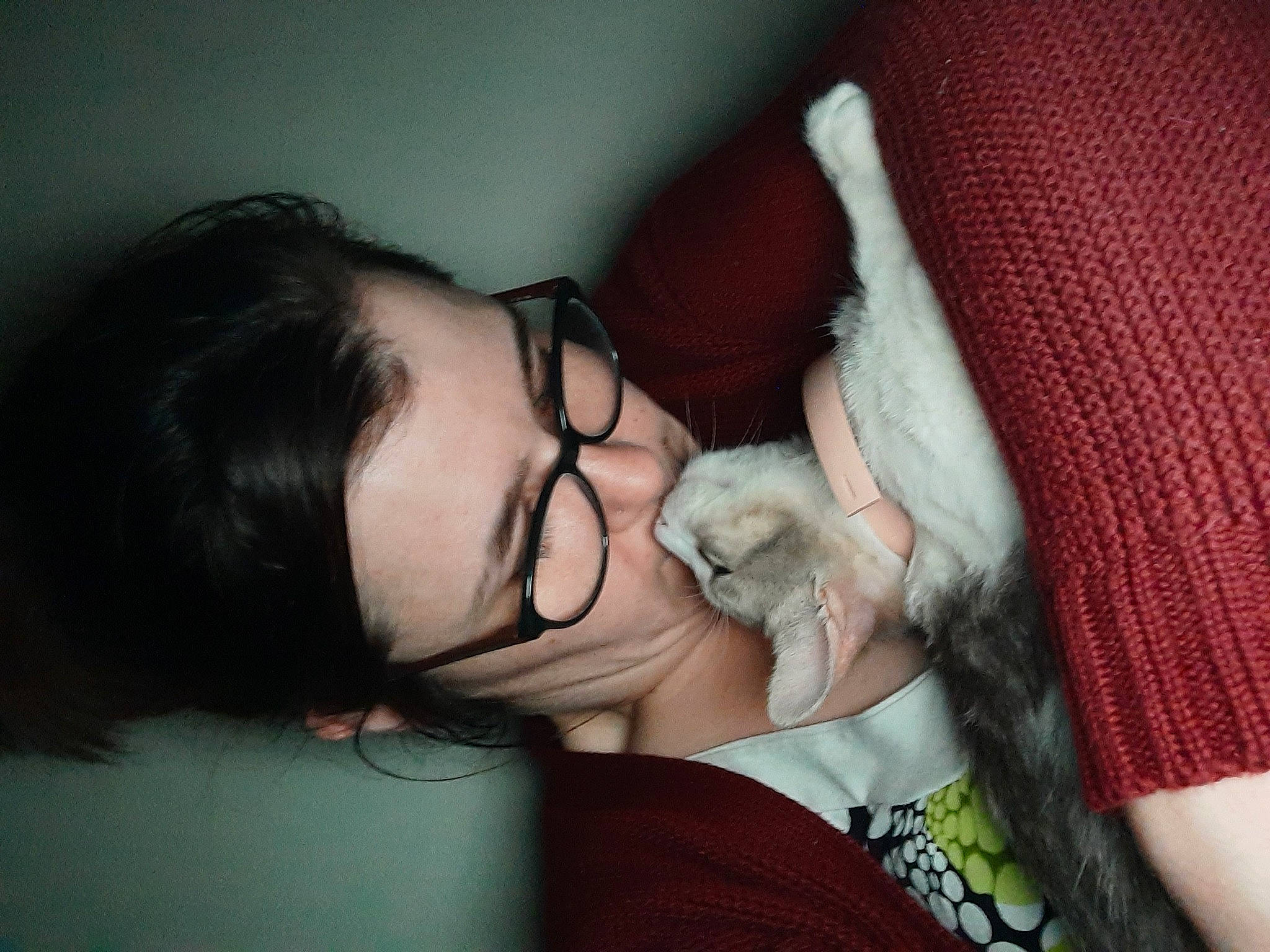 Bella participe au concours pour gagner de l'argent avec cette photo : beard, carnivore, comfort, couch, ear, eyebrow, eyelash, eyewear, felidae, gesture, glasses, happy, jaw, lip, mammal, mouth, neck, nose, skin, vision_care