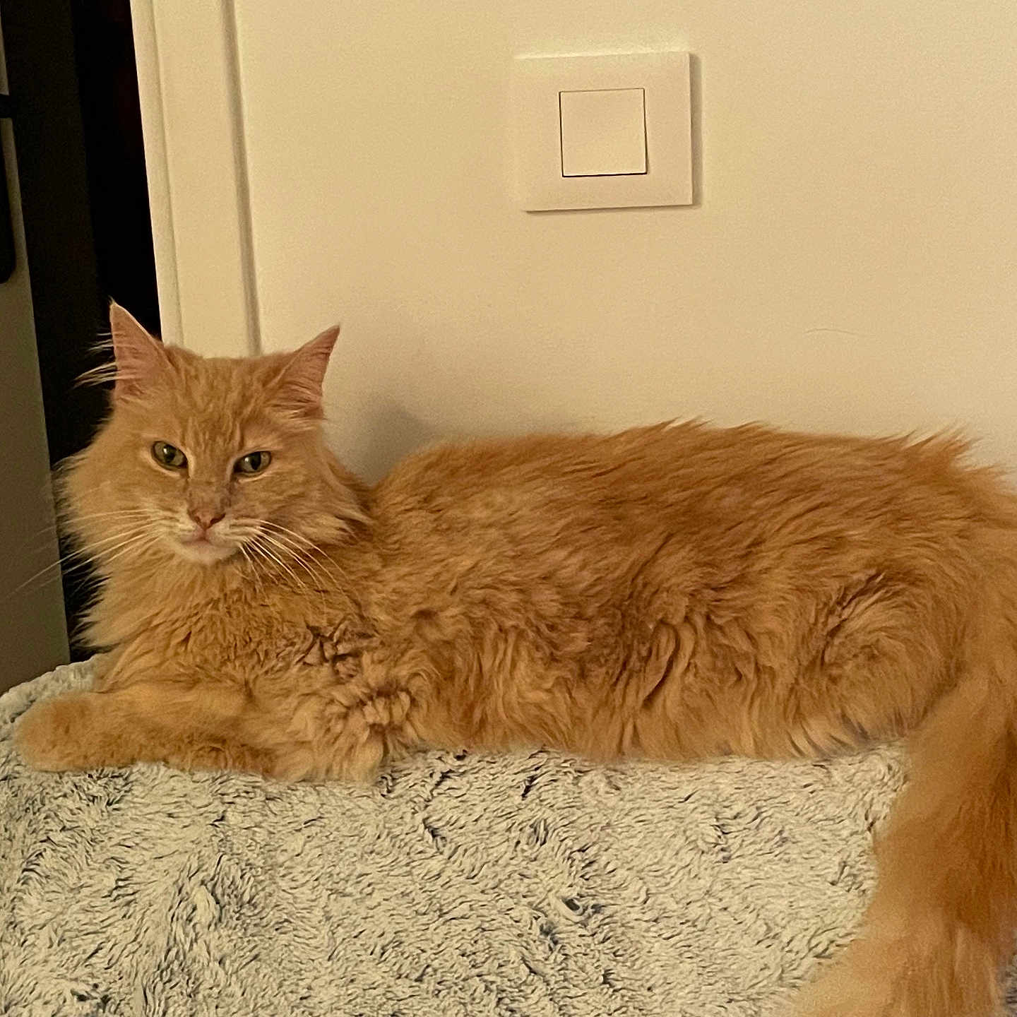 Caramel