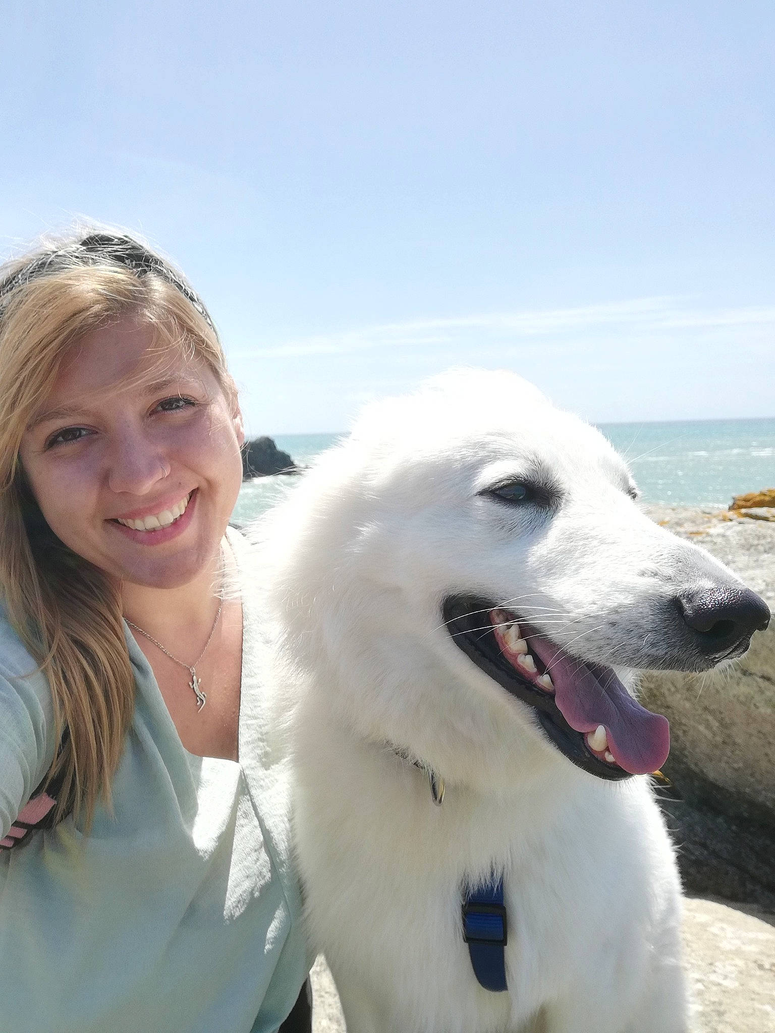 Paco participe au concours pour gagner de l'argent avec cette photo : canidae, carnivore, cloud, companion_dog, dog, dog_breed, fang, fun, fur, giant_dog_breed, happy, leisure, sky, smile, snout, sporting_group, tourism, travel, water, working_animal