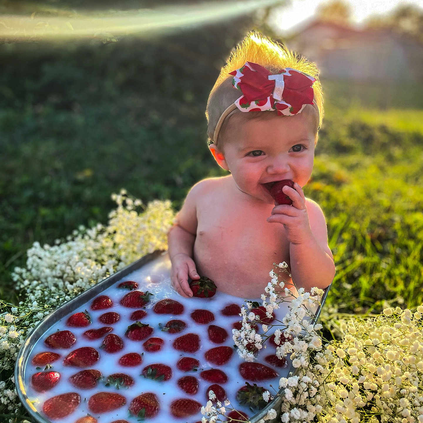 Alora is registered to the contest to win money with this photo: baby, berry, bodypart, clothing, face, finger, flower, food, fruit, hand, hat, head, person, petal, photography, plant, portrait, pottedplant, produce, summer