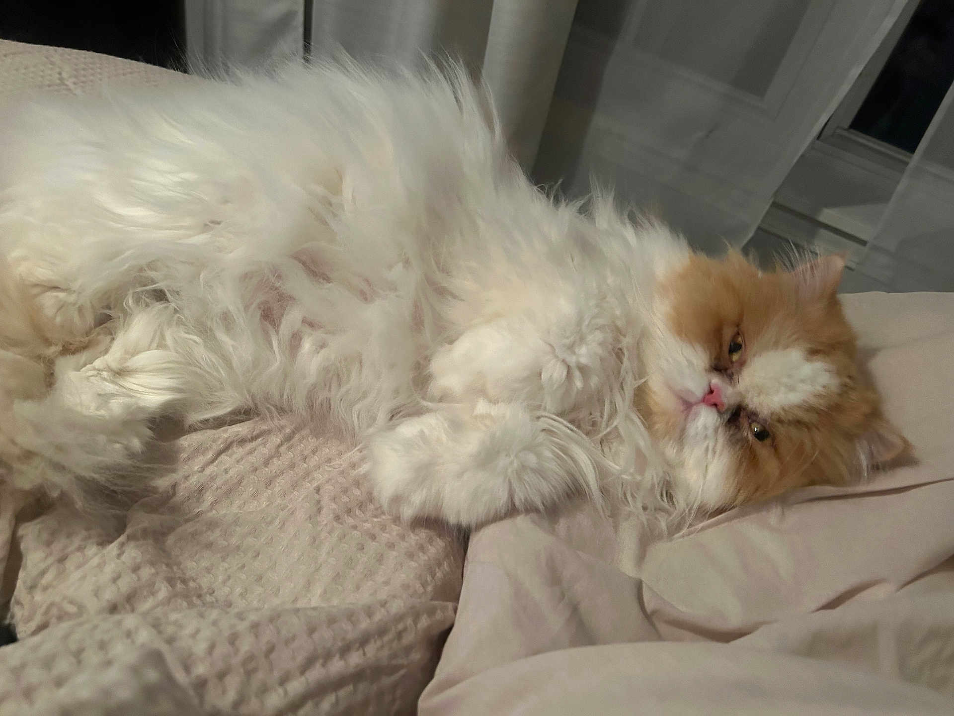 Hubert
