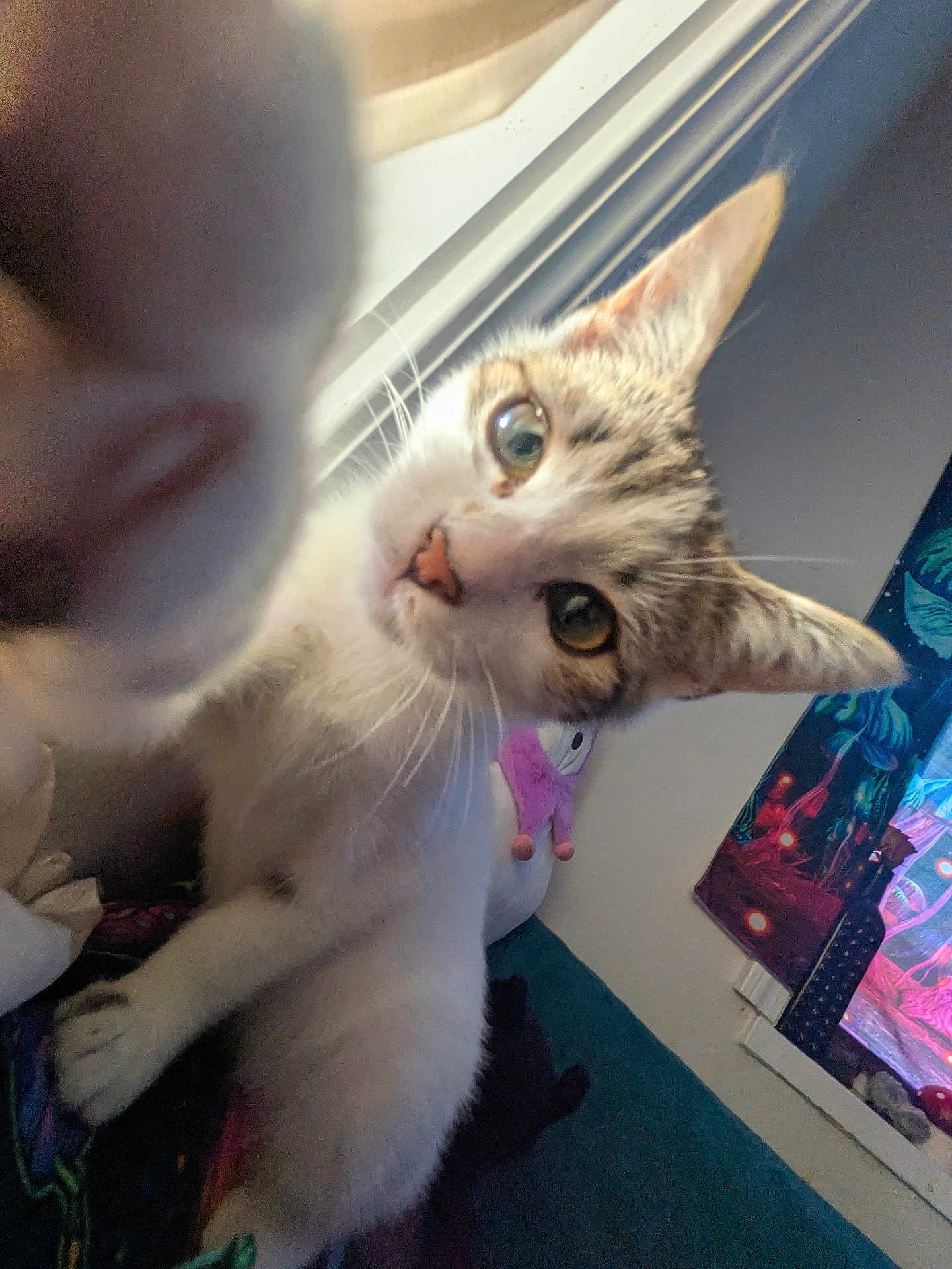 Elliot