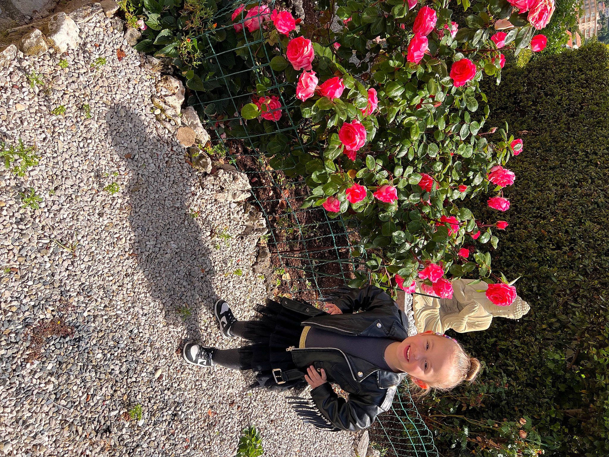 Nefissa a rejoint le concours — aidez-le/la à gagner de superbes lots ! annual_plant, carmine, flower, flowering_plant, garden, garden_roses, gardening, grass, groundcover, joy, landscape, people_in_nature, person, petal, plant, rose, rose_family, rose_order, shrub, soil