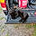 Blackie