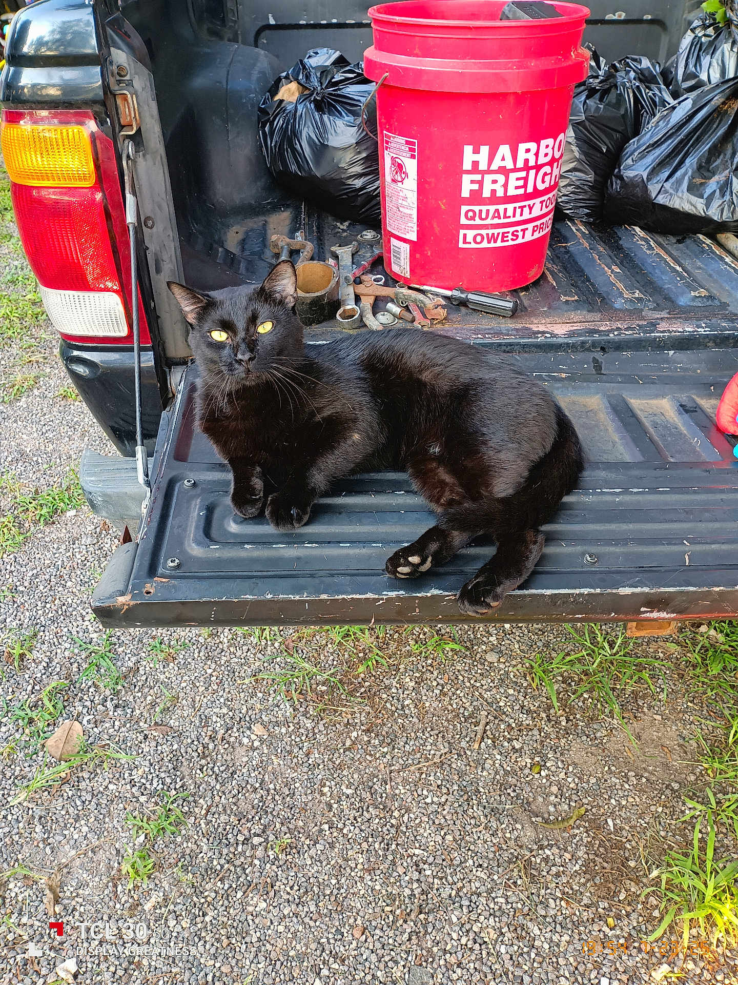 Blackie