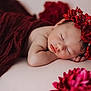 baby, sleeping, flower_crown, red_cloth, soft_surface, portrait, peaceful, infant, close_up, skin, head, face, resting, flower, blurred_background, cute, newborn, soft_lighting, indoors, calm