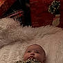 Kehlani joined the competition — help win amazing prizes! baby, infant, leopard_print, blanket, christmas_tree, presents, gift_wrapping, holiday_lights, festive, cozy, decorations, holiday, celebration, indoors, cute, child, portrait, soft_texture, holiday_season, smiling
