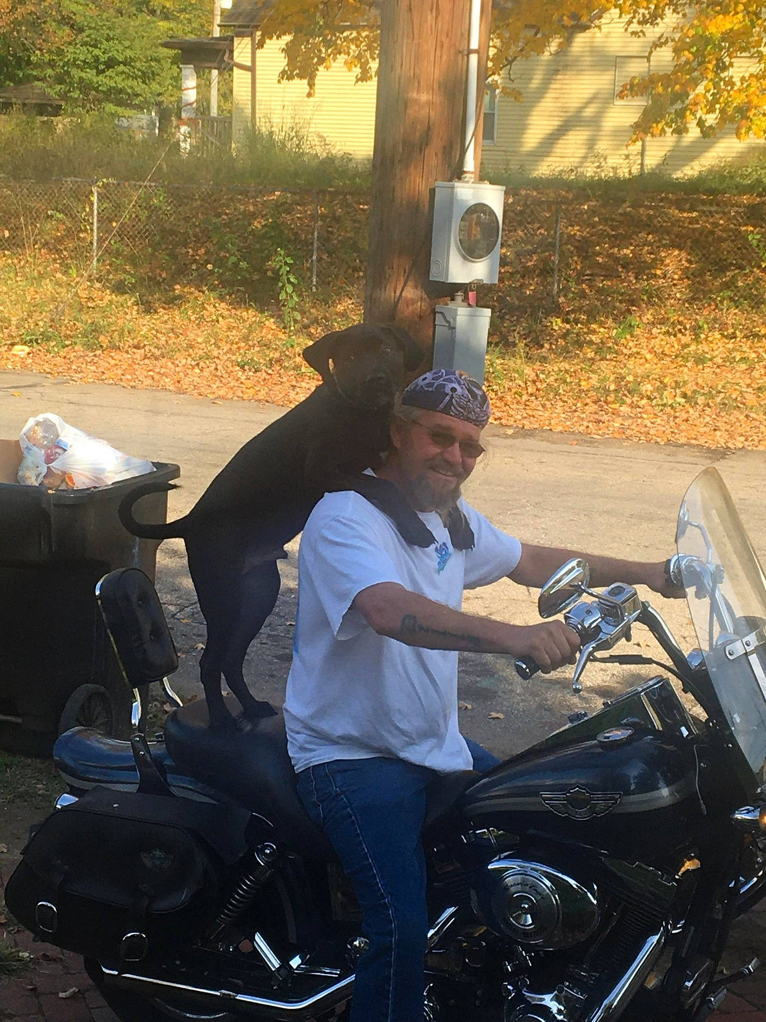 Harley joined the competition — help win amazing prizes! alloy_wheel, automotive_design, automotive_exterior, automotive_lighting, automotive_tire, automotive_wheel_system, fender, fuel_tank, headlamp, mode_of_transport, motor_vehicle, motorcycle, motorcycle_helmet, motorcycling, plant, rim, tire, tree, vehicle, wheel