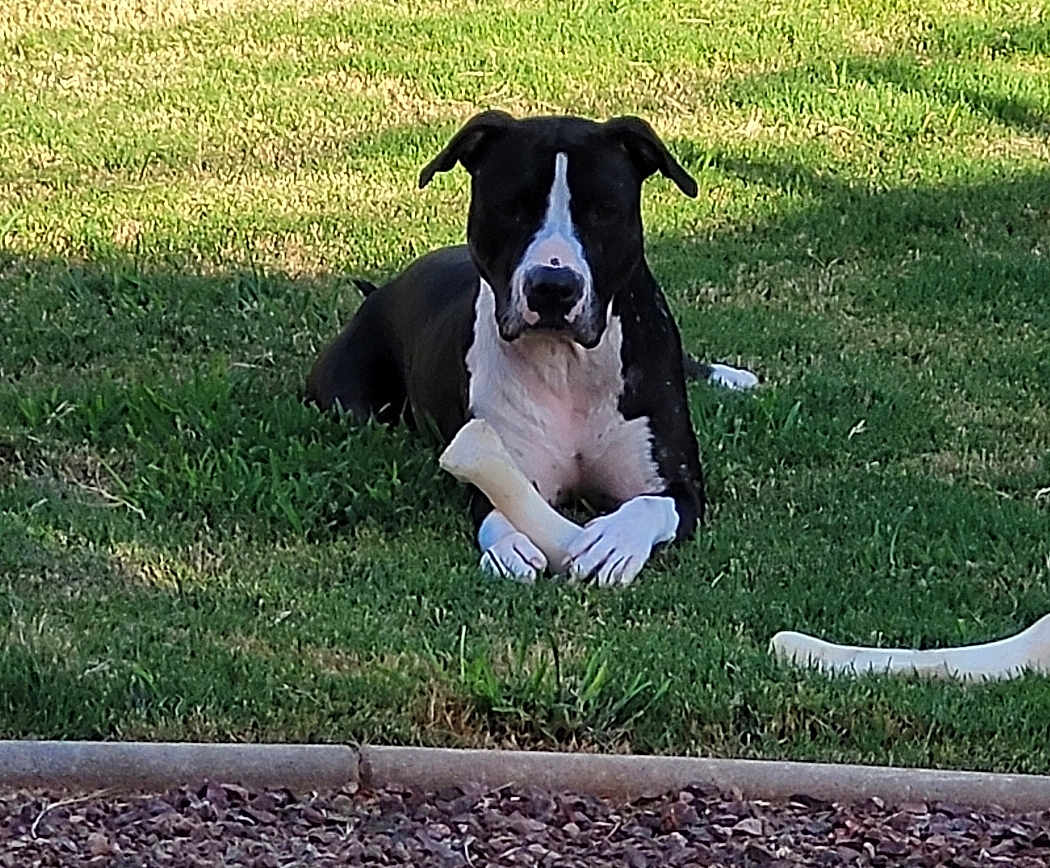 Chloe