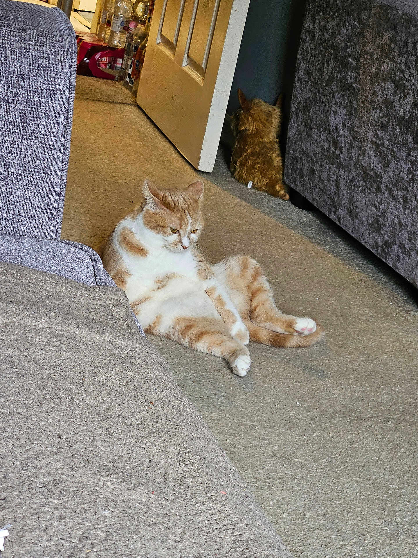 Loki
