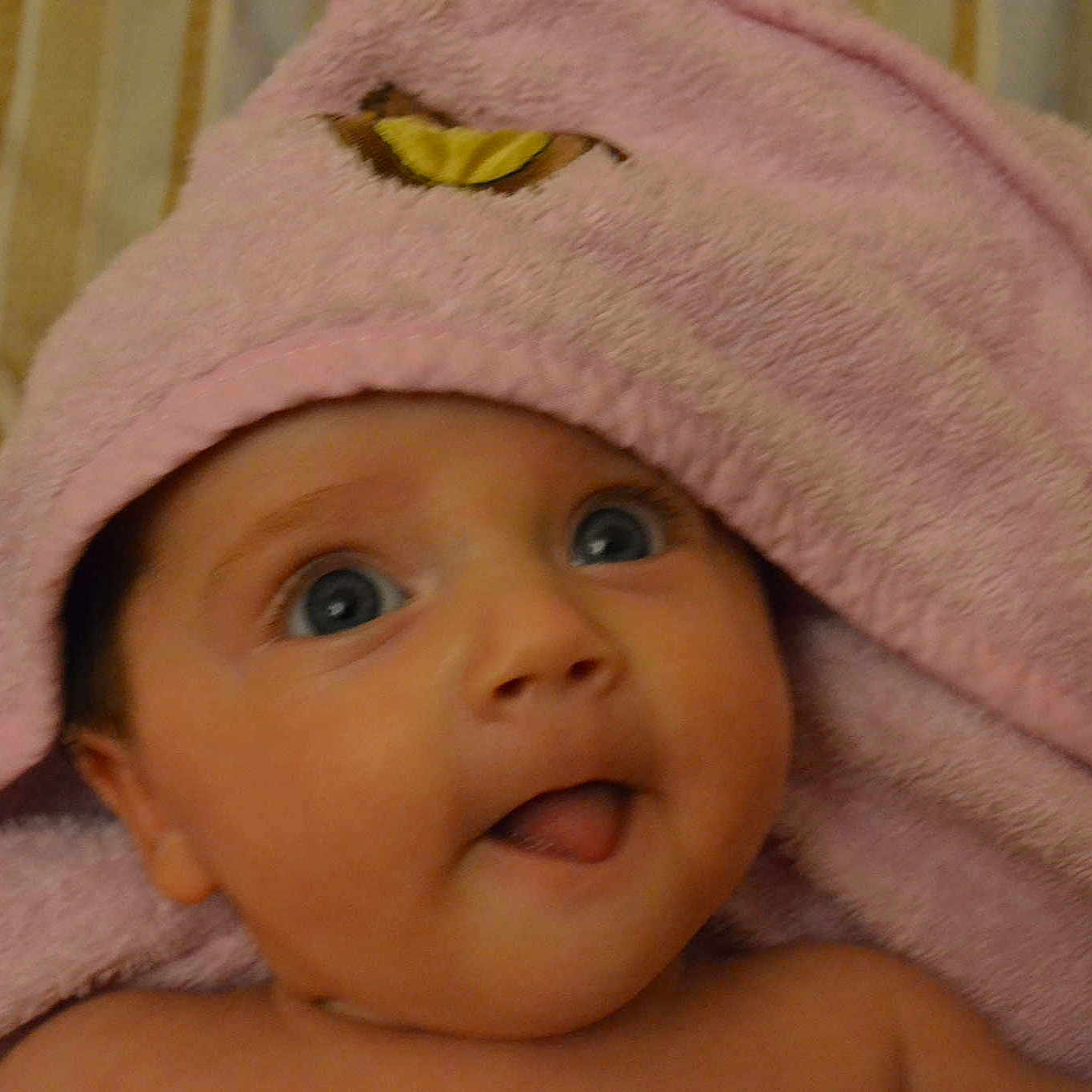 Angela is registered to the contest to win money with this photo: