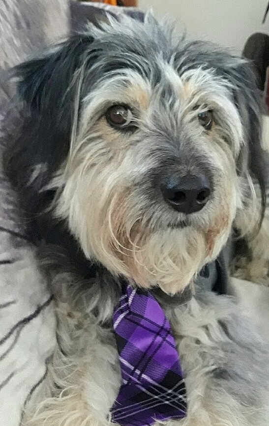 Grady