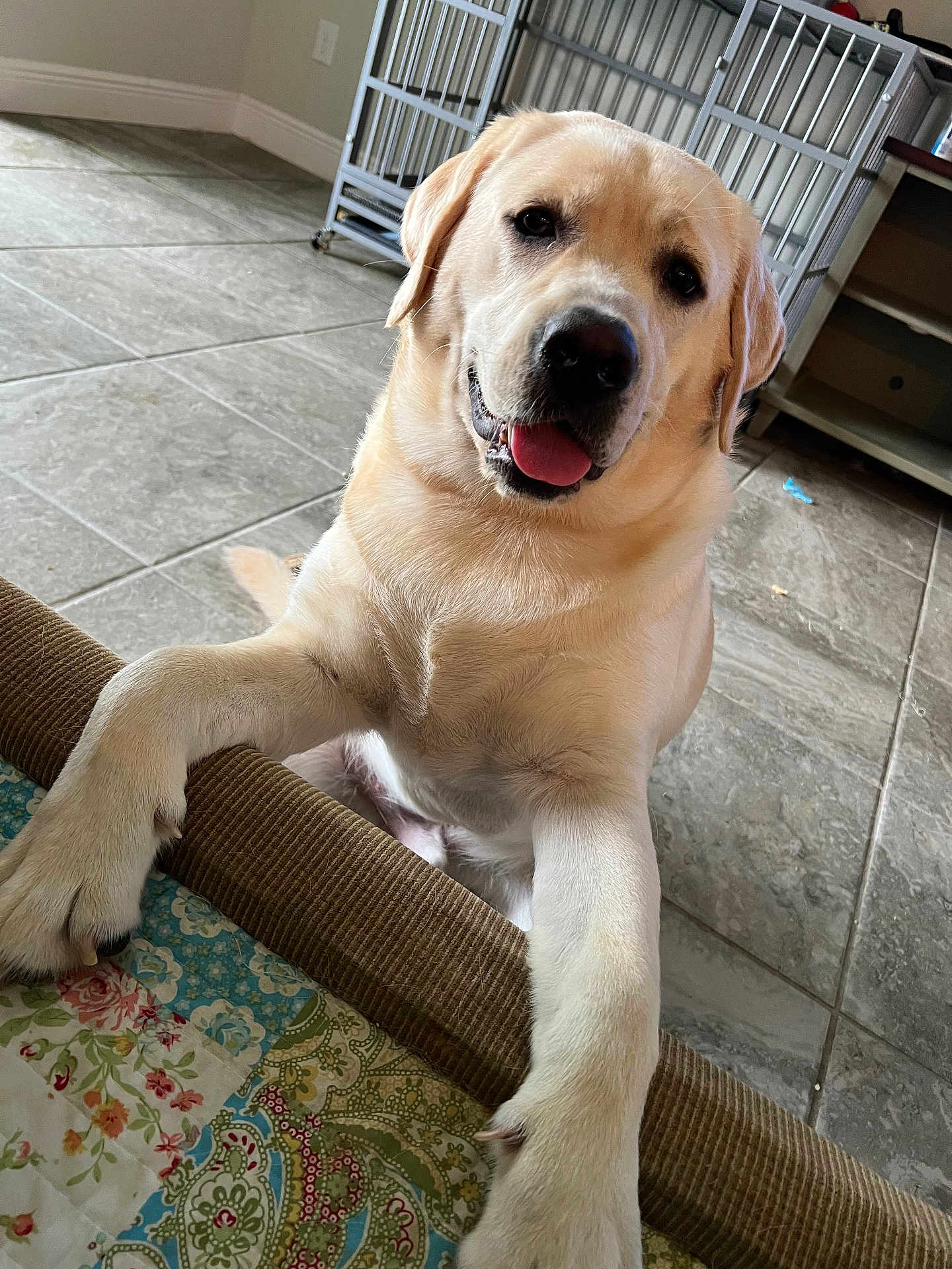 Murphy
