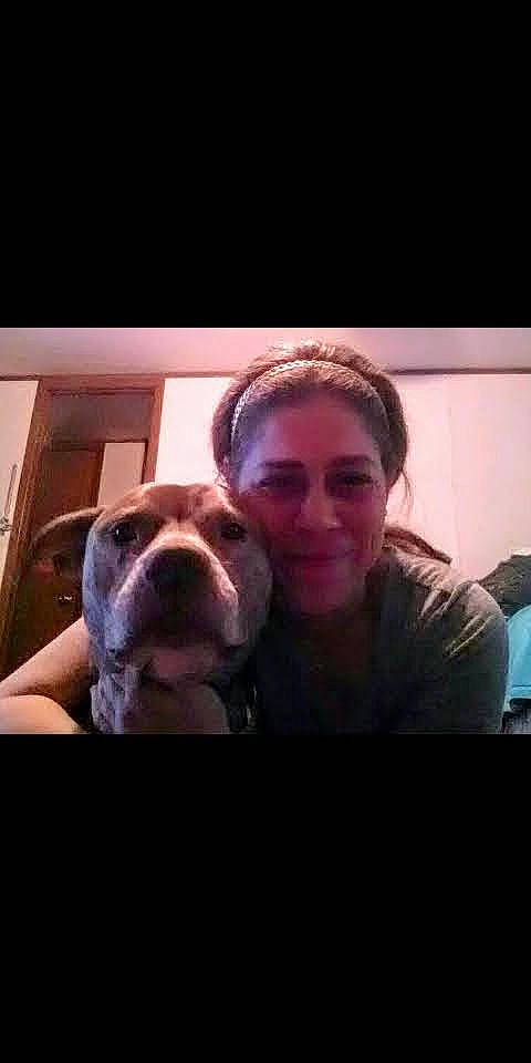 Duke joined the competition — help win amazing prizes! carnivore, comfort, companion_dog, dog, dog_breed, ear, eyewear, fawn, flash_photography, fun, fur, happy, jaw, love, mouth, nose, selfie, smile, snout, sporting_group