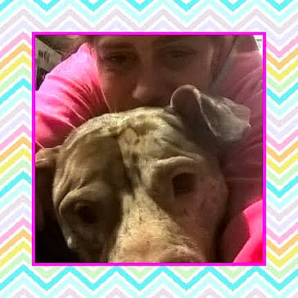 Duke is registered to the contest to win money with this photo: adaptation, beauty, carnivore, comfort, companion_dog, dog, dog_breed, ear, fawn, happy, liver, nose, organism, photograph, pink, rectangle, skin, snapshot, working_animal, wrinkle